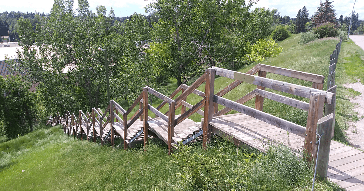 Parks and Recreation – Mount Royal Community Association