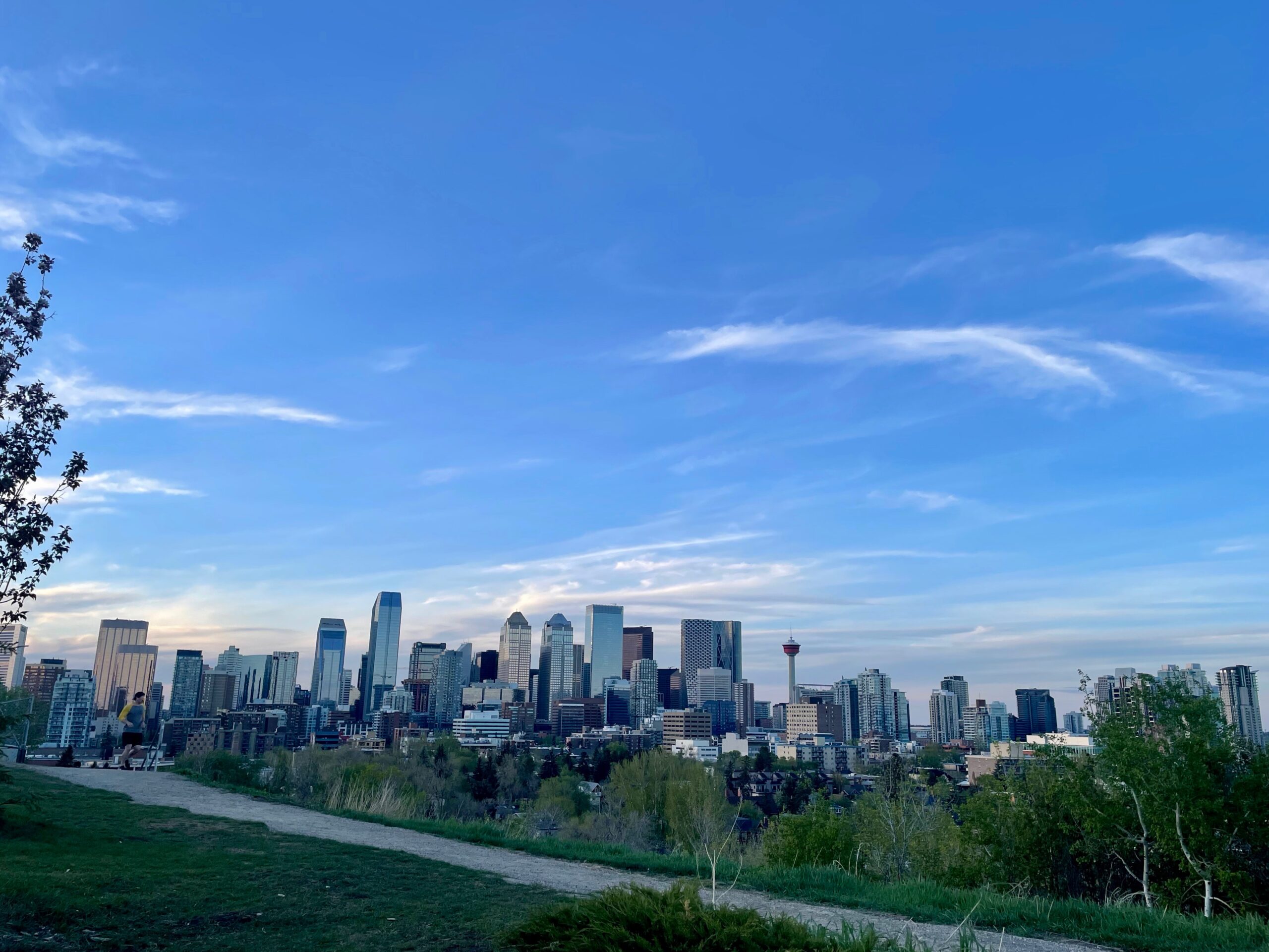 Parks and Recreation – Mount Royal Community Association